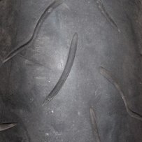 B仔BT016前180后120跑车胎出售。