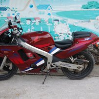 肇庆广宁出CBR19期