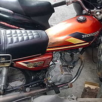 （已卖）开平卖只花猫1555元。