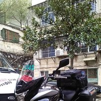 铃木GW250旅行版