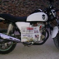 顺德出售一台精神白色春风狒狒