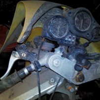 清远英德7000元出售22期和ZZR400尸体