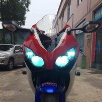 代友出售顺德精神本田08CRB1000鹦鹉