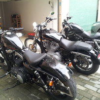 佛山精神哈雷XL1200X.48要换戴娜.转让