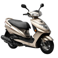 广东廉江出国三电喷迅鹰