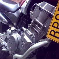 车车已出售。。。精神03黄蜂919