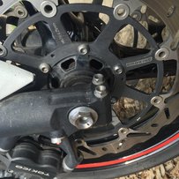 广州出只精神鹦鹉