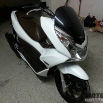 PVX125  大黄蜂919