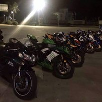 江门台山代友出售06欧版大猪头