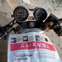 清远清城区出t仔