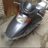 已卖》五羊公主100Cc