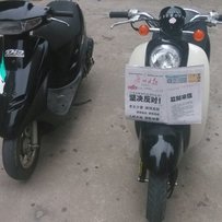 江门新会代友出售几台绵羊仔