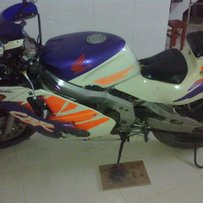 斑猪已上彩票，，，，求解屏蔽