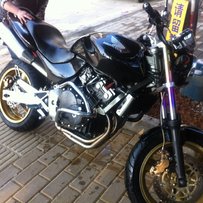 廣西梧州    99黃蜂250  重新發帖