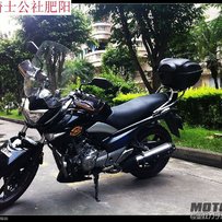 已售已售已售已售