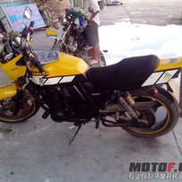 本人因外去一个月停止出售小猪头