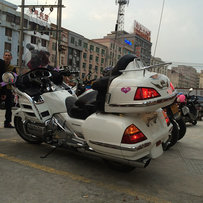 广东阳江出售04款金翼