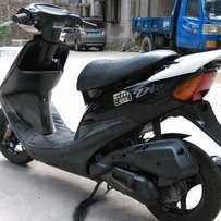 广东江门会城代友出售几台棉羊仔