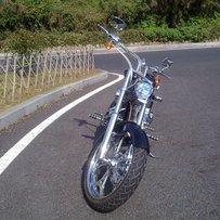 美国纯手工阿波罗大狗