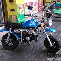 广东江门市区出高配黑猩猩、蓝猴子