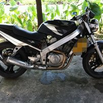 代友出售精神大蚂蚁