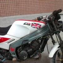 广州白云出售精神T仔