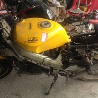 代友出售VFR30期尸体