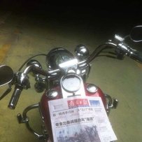 东莞出售 哈雷路王   和一台鹦鹉