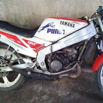 广州黄埔出部t仔