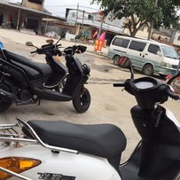 出两台本田公主