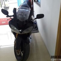 庆61贺端午顺德乐从出售靓仔05 10R