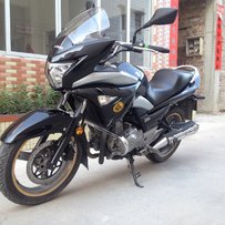 广州花都出售旅行版猪兜18800