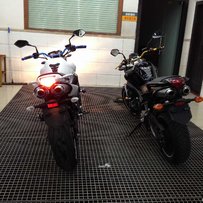 新塘 新净 08FZ6N