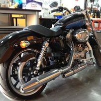 已售已售已售已售