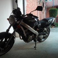 开平出大蚂蚁650