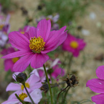 已售！！！！！！！！！！！！！！！！！！