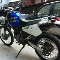 湛江代友出售日本“鸡”一只！