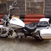 出白色铃木太子