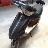 出售55缸福喜。