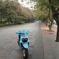 肇庆出售精神两冲鸭仔，求秒。