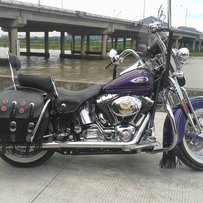 ￥番禺出售00年哈雷尖叫大弹簧，11.8万￥