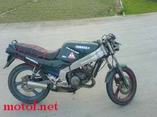 YAMAHA TZR125 T籽