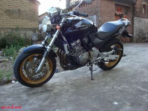 很新静的黄蜂600