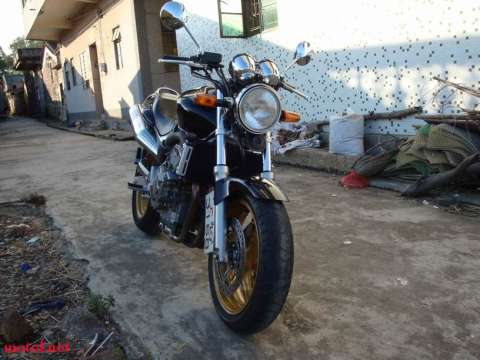 很新静的黄蜂600