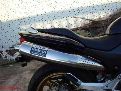 很新静的黄蜂600