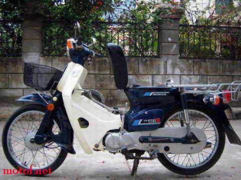 HONDA- SUPER CUB 50C