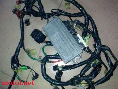 三仔龙筋点火器一套