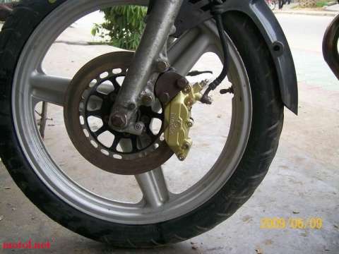 CBT劲改对四鲍鱼