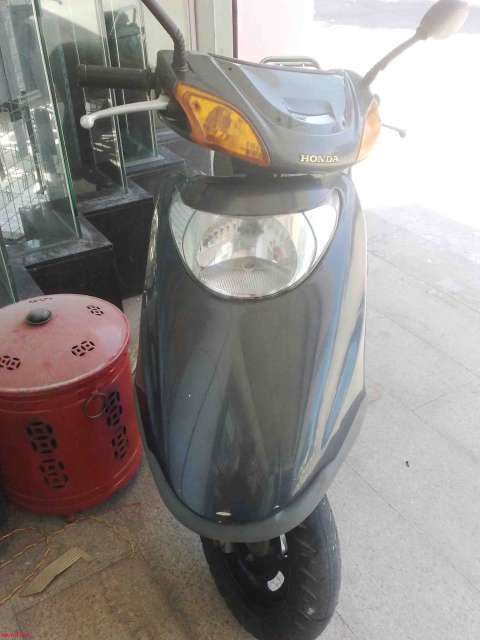 五羊公主WH100T-H(大屁股)(暂卖)