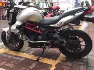 清远连州出黄龙300